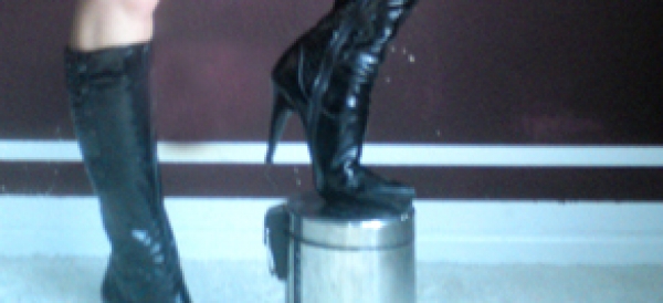 Lady Lavinia