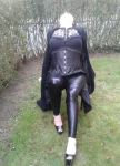 Willig-will ich!!