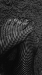SUCHE DICH PAYPIG !!