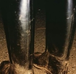 Lecke meine Stiefel sauber