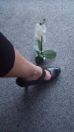 Lady Joline sucht den perfekten Sklaven