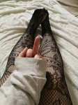 Paypig's werden wieder aufgenommen 