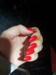 Lady Linda sucht neue Zahlloser!