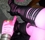 Weihnachts-Gans zum Ausnehmen