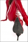 PAYPIG gesucht