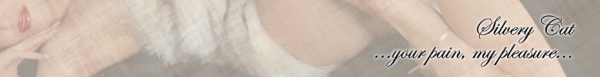 SilveryCat
