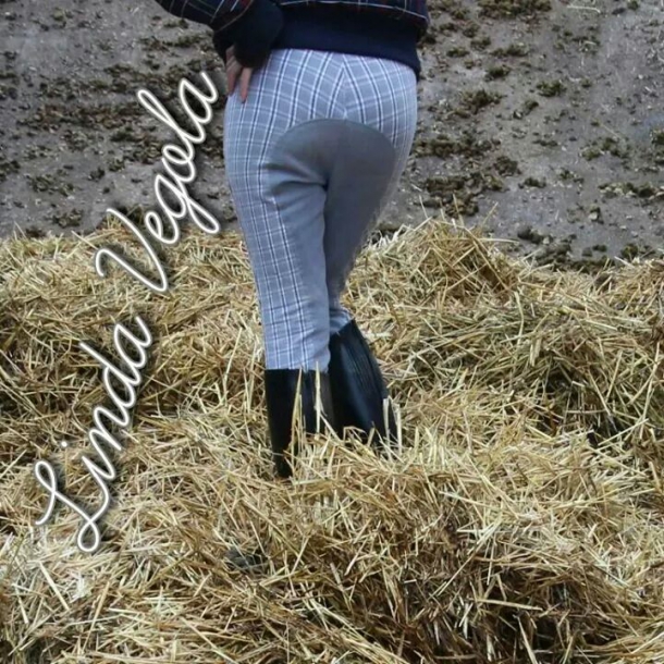 Linda Vegola