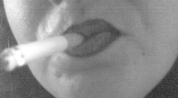 HerrinMolly